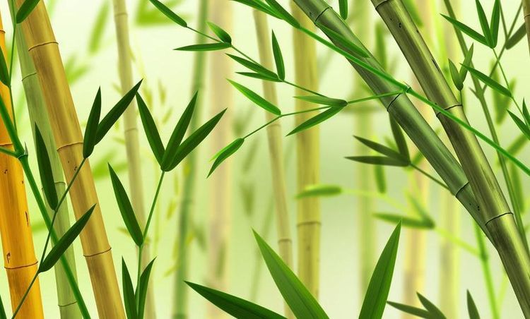 加入電商代運營的原因是 加入電商代運營的原因是