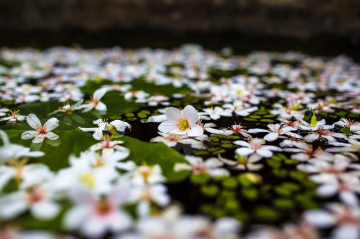 上海短視頻代運(yùn)營公司 上海短視頻代運(yùn)營公司