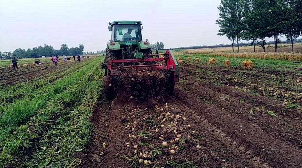 農業品牌策劃需要長期做嗎？