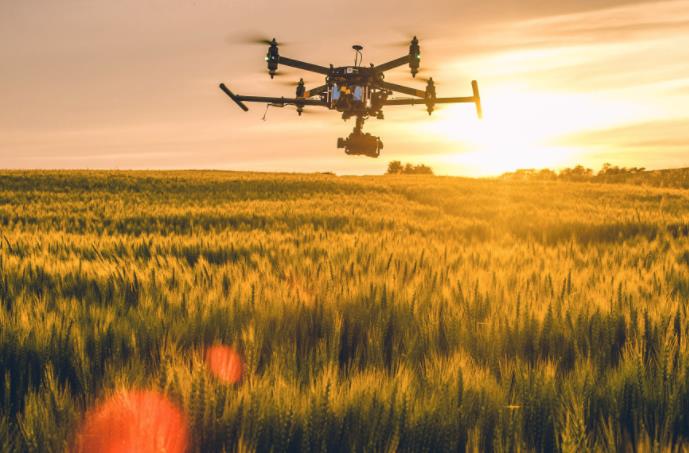 農業(yè)發(fā)展戰(zhàn)略策劃 農產品品牌策劃設計公司