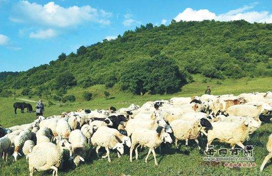 農業品牌策劃,農業品牌策劃公司 農業品牌策劃,農業品牌策劃公司