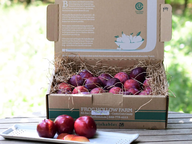 農產品水蜜桃包裝設計欣賞 農產品水蜜桃包裝設計欣賞