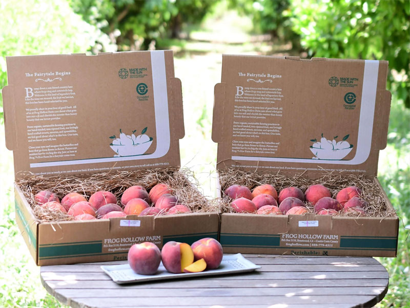 水蜜桃包裝設計欣賞 水蜜桃包裝設計欣賞