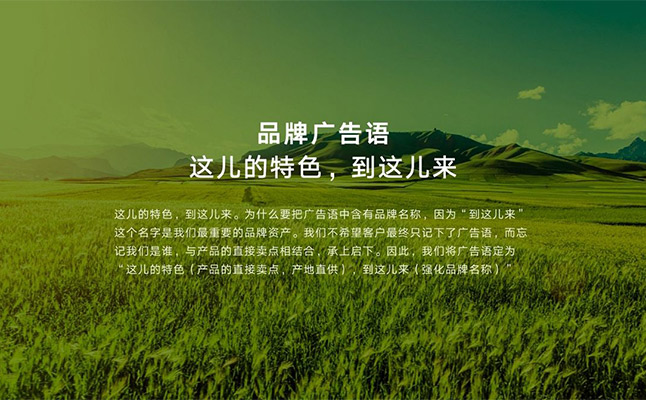 農業品牌策劃推動農業品牌發展