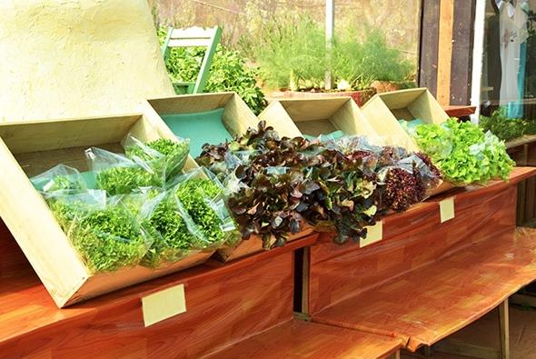 農業包裝設計的重要作用與意義 農業包裝設計的重要作用與意義