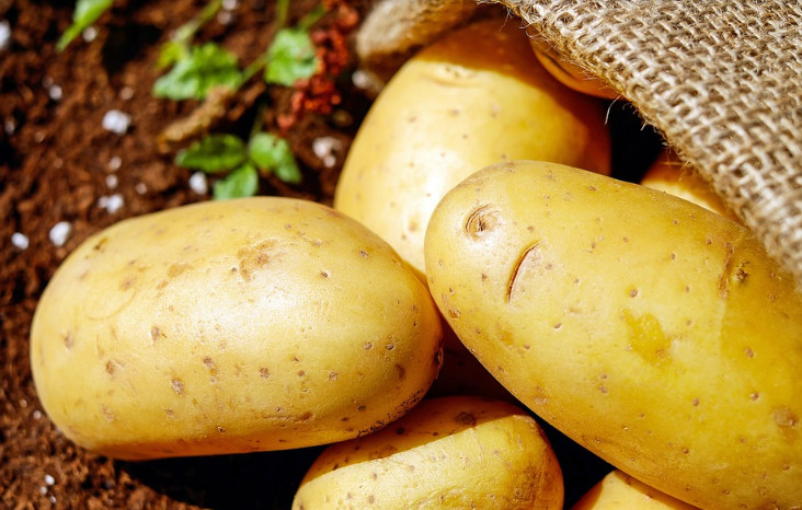 品牌全案設計如何賦予品牌象征意義與情感價值 品牌全案設計如何賦予品牌象征意義與情感價值