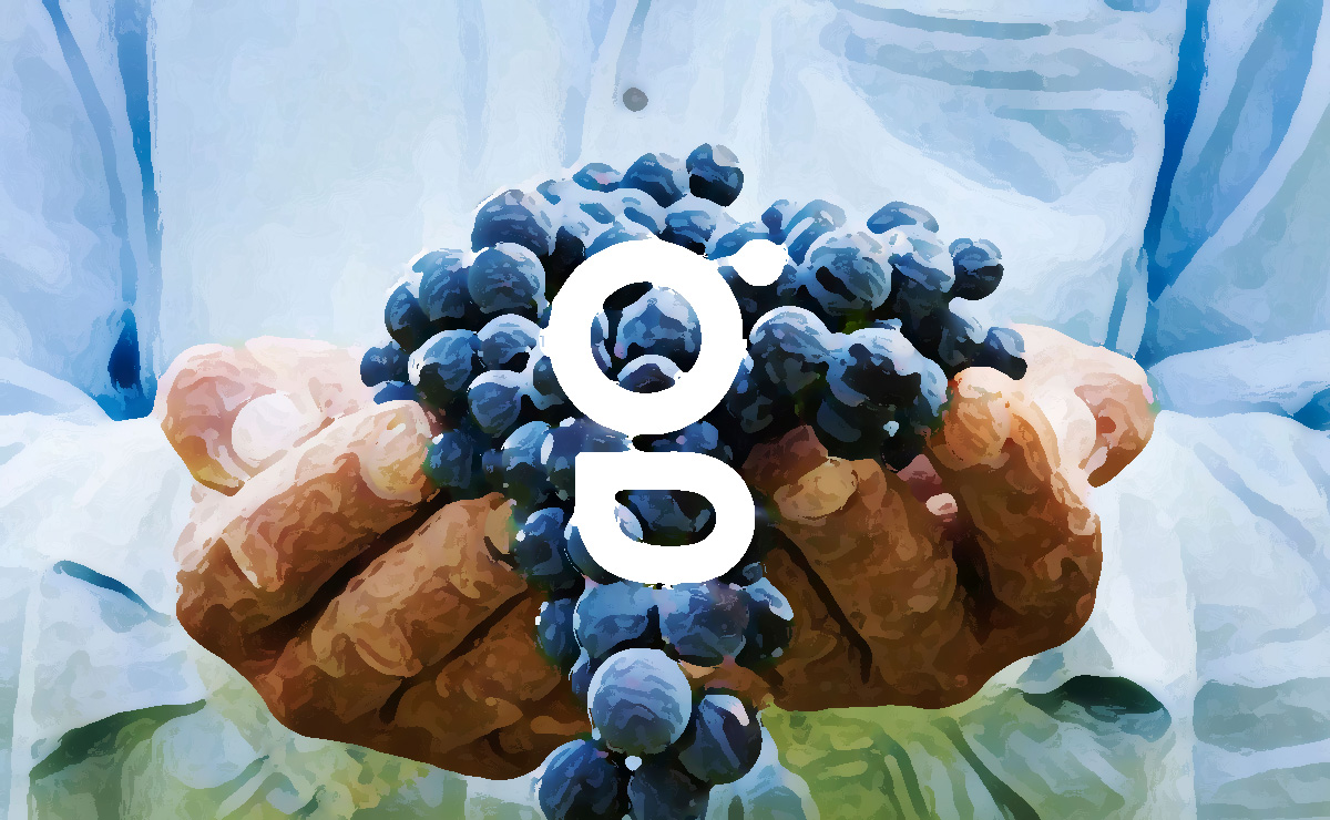 農業品牌VI設計提升農業企業競爭力