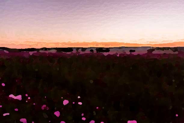 化妝品全案策劃公司應該建立怎樣的形象？