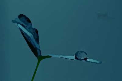 餐飲品牌設計的突破點有哪些？