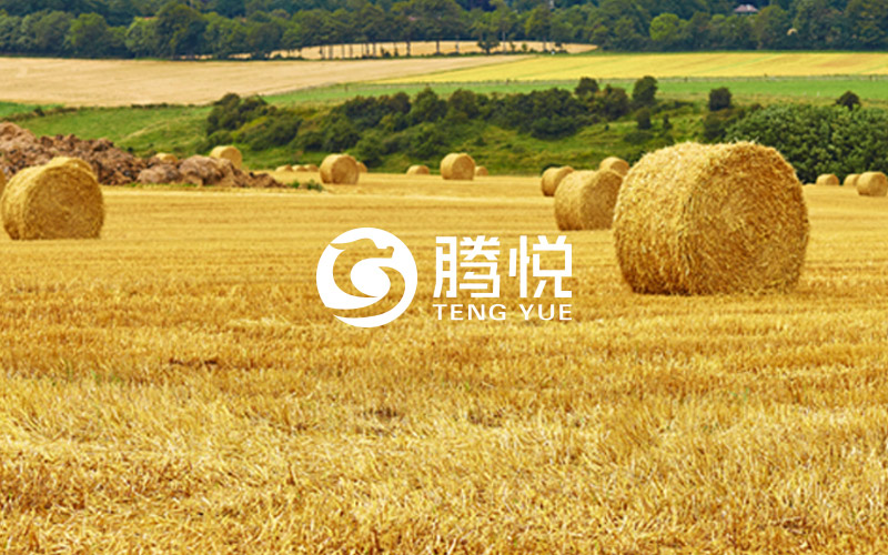 肥料品牌策劃，騰悅肥料