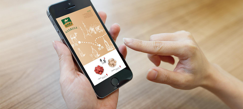 農業品牌策劃與定位