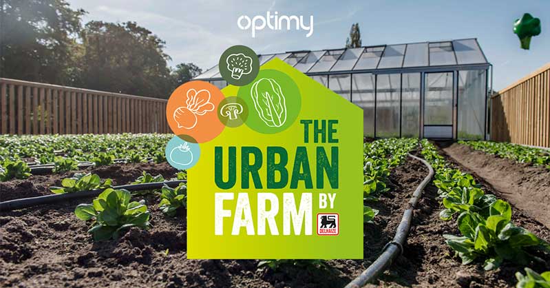 一套時尚的農業品牌設計,設計簡潔明了,用色鮮明,讓人看了過目不忘,值得搞農業品牌朋友學習交流。 一套時尚的農業品牌設計,設計簡潔明了,用色鮮明,讓人看了過目不忘,值得搞農業品牌朋友學習交流。