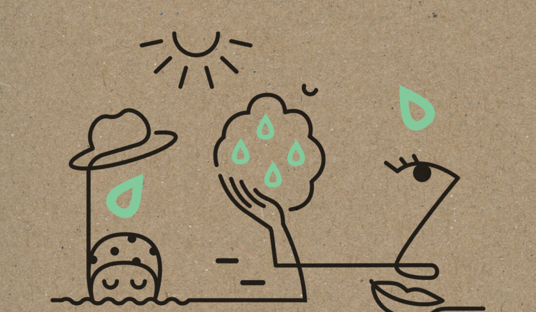 牛油果護膚品包裝設計 牛油果護膚品包裝設計