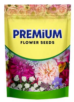 微信圖片_20210227142504.jpg 微信圖片_20210227142504.jpg