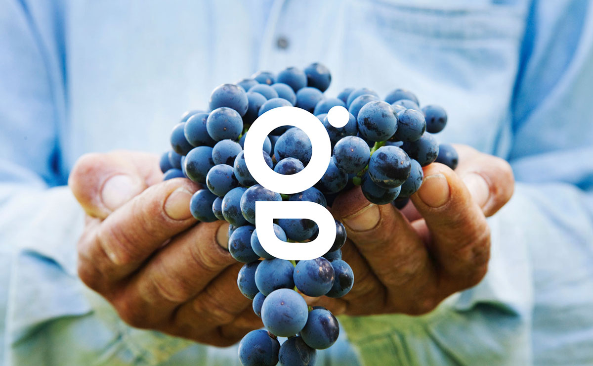 農業品牌設計 農業品牌設計