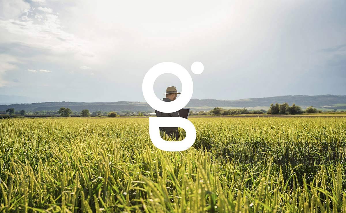 農業品牌VI設計 農業品牌VI設計