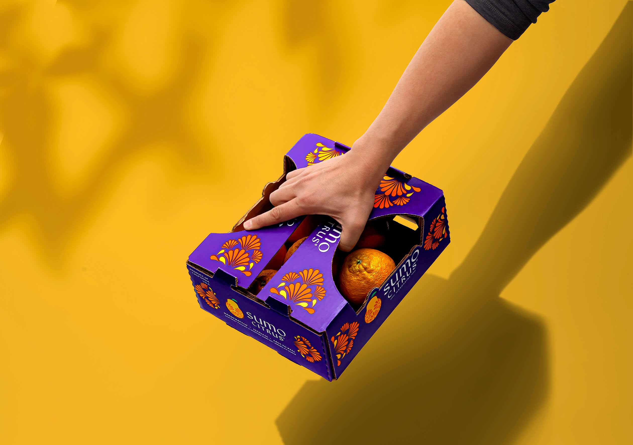 水果品牌設(shè)計 水果品牌設(shè)計