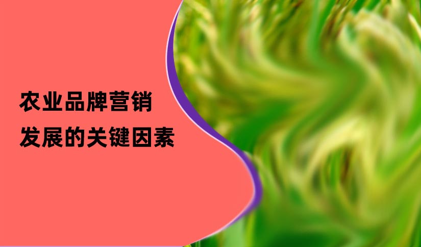 農業品牌營銷發展的關鍵因素
