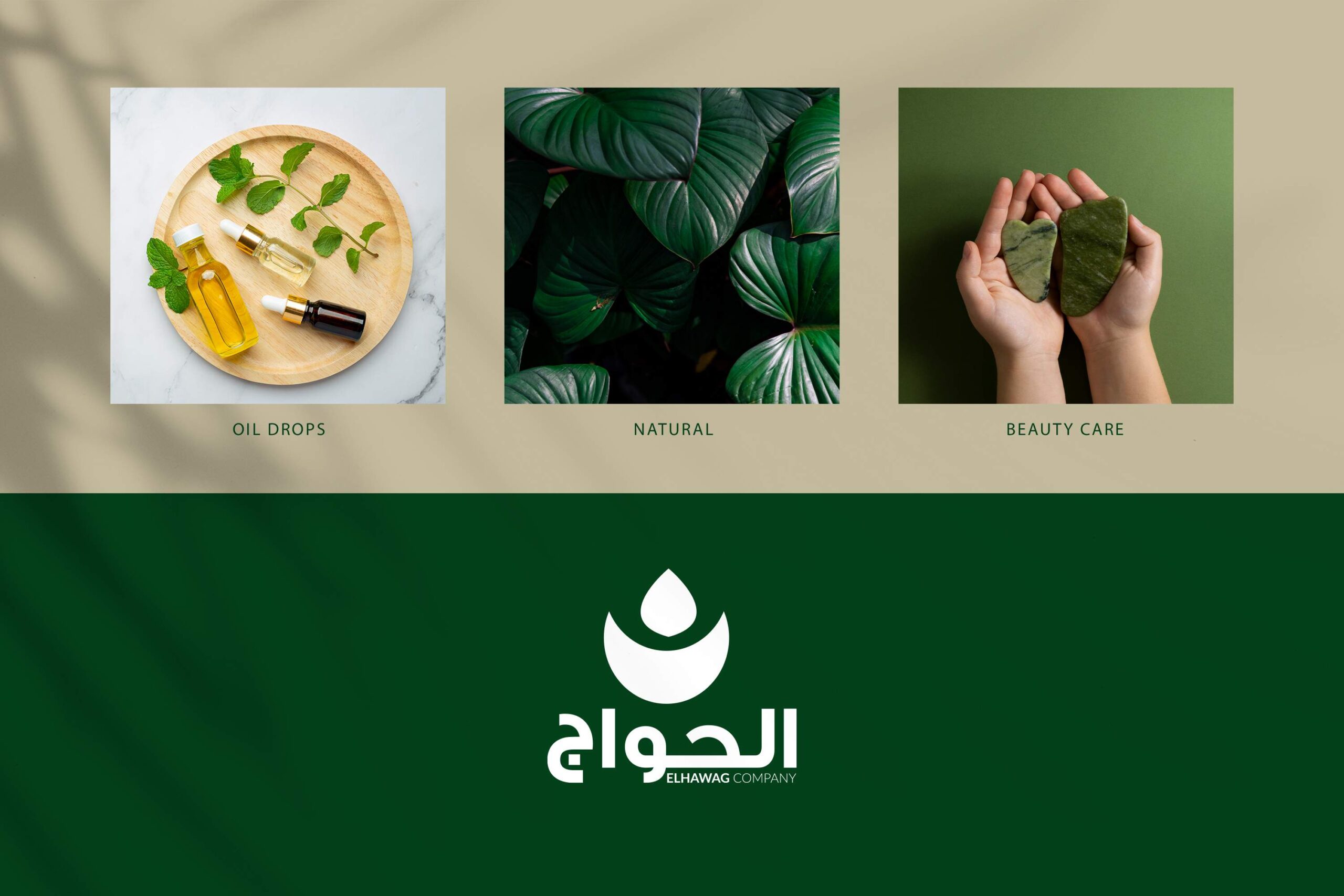 植物精油護膚包裝設計