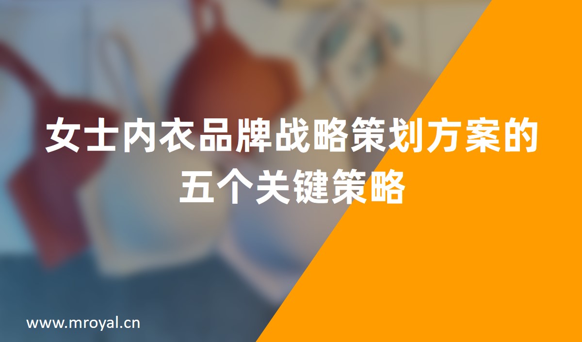 女士內衣品牌戰略策劃方案的五個關鍵策略 女士內衣品牌戰略策劃方案的五個關鍵策略