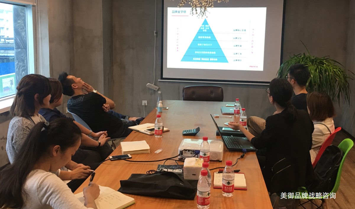 品牌戰略營銷全案戰略指南