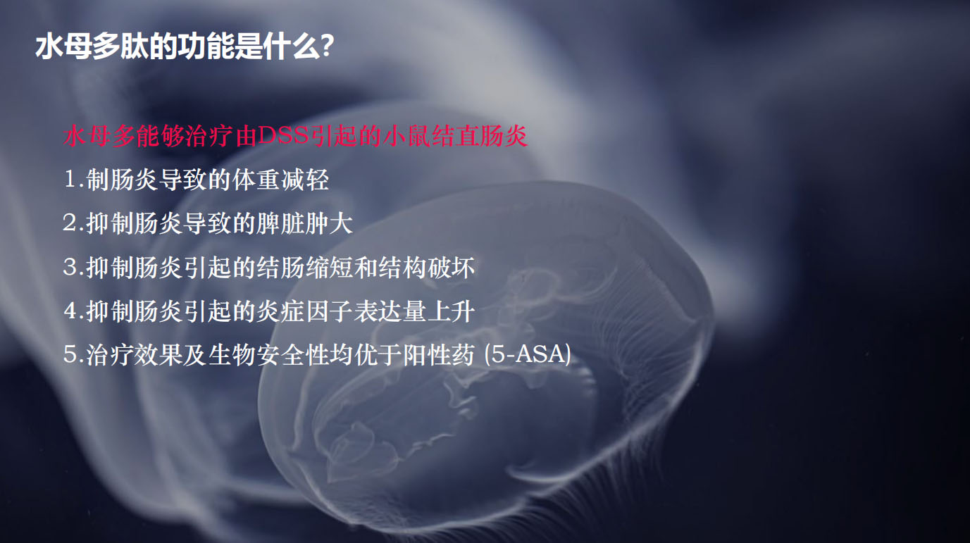 特醫食品營養品品牌全案策劃